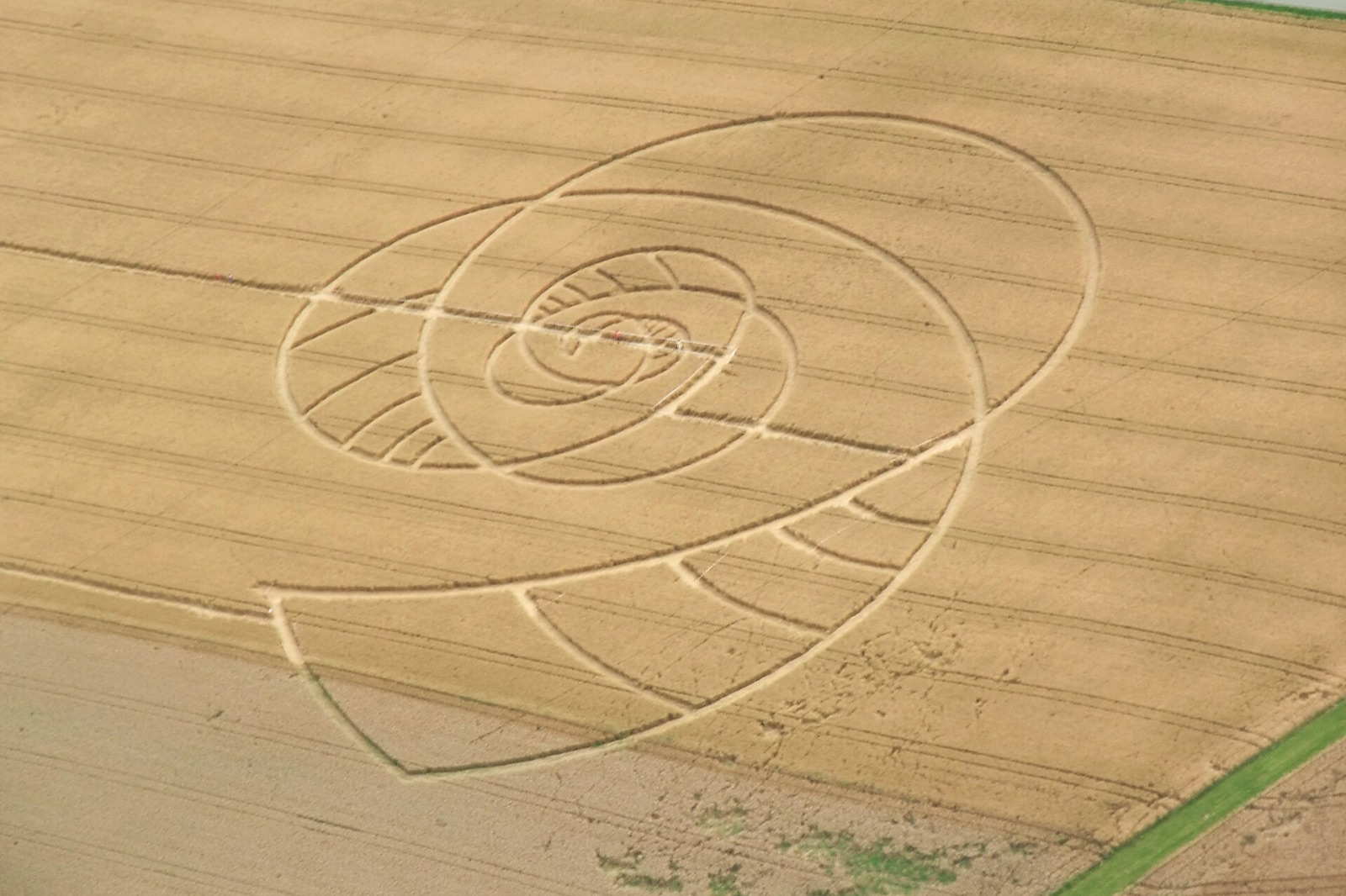 A large spiral pattern pressed into a wheat field, seen from the air